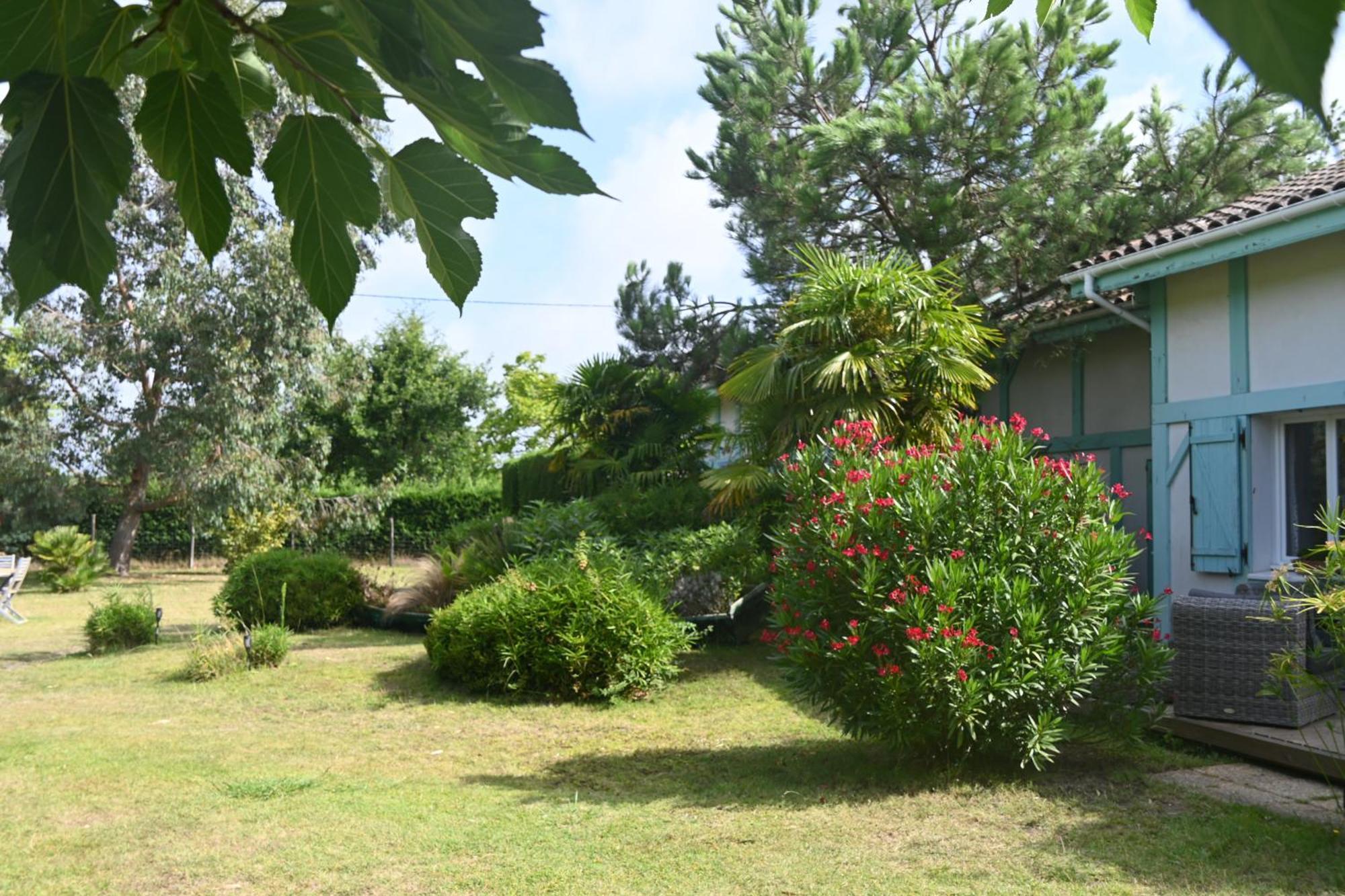Le Mas Des Landes Vielle-Saint-Girons Buitenkant foto