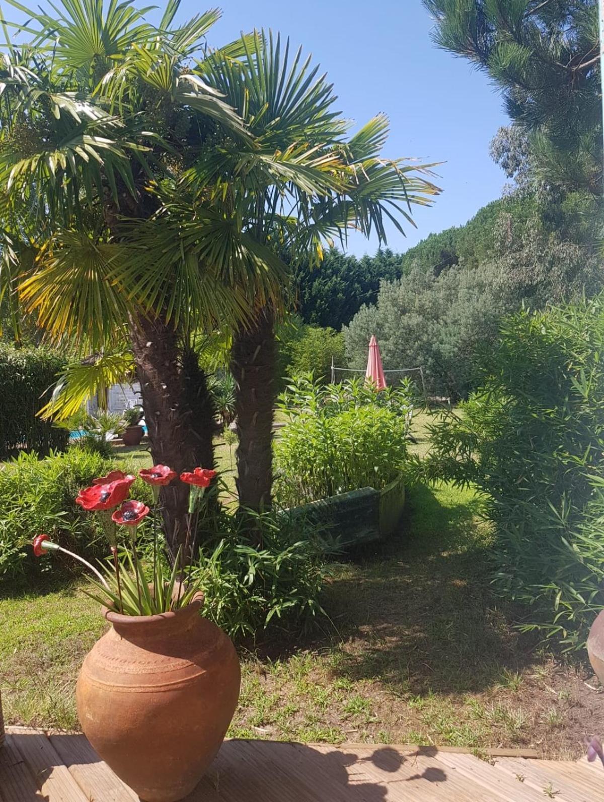 Le Mas Des Landes Vielle-Saint-Girons Buitenkant foto